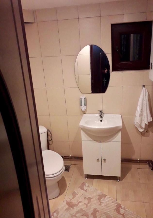 הוילה Vidra  Deea Cascada מראה חיצוני תמונה
